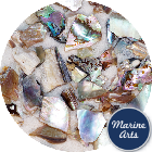 Craft Pack - Tumbled Abalone - Small Pebbles